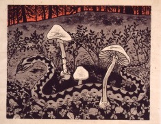 Kyy ja valkoisia kärpässieniä (© Johanna Kiivaskoski)