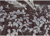 Lillukanvarret (&copy;, Johanna Kiivaskoski) 